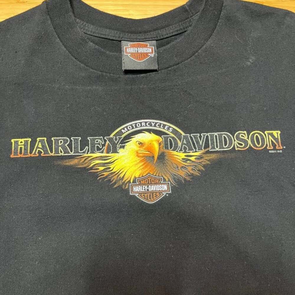 Vintage- Y2K Harley-Davidson “Florida”